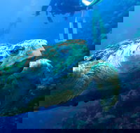 Scuba Dive the S.S. Yongala Wreck on the Great Barrier Reef. - Accommodation NT