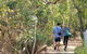 3 Day Whitsundays Sailing And Diving Adventure: Kiana - thumb 8