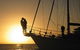 3 Day Whitsundays Sailing And Diving Adventure: Kiana - thumb 10