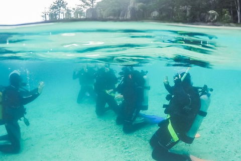 3 Day Whitsundays Sailing And Diving Adventure: Kiana - Accommodation NT 12
