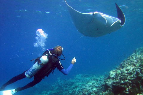 3 Day Whitsundays Sailing And Diving Adventure: Kiana - Accommodation NT 9