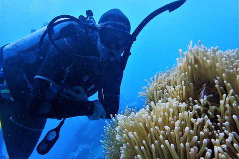 3 Day Whitsundays Sailing And Diving Adventure: Kiana - Accommodation NT 3