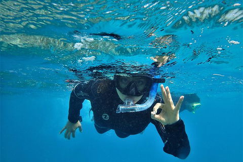 3 Day Whitsundays Sailing And Diving Adventure: Kiana - Accommodation NT 11