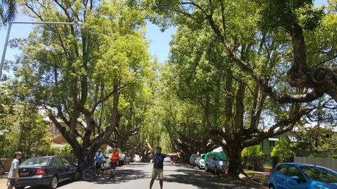 Brisbane Bike Tour - Accommodation NT 2