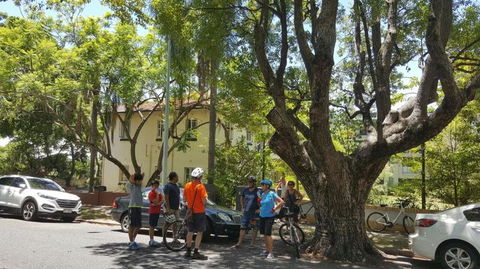 Brisbane Bike Tour - Accommodation NT 3