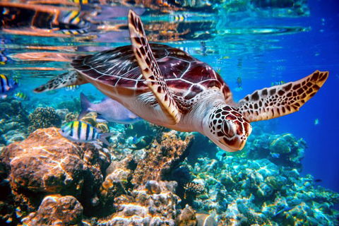 2-Night Whitsunday Islands All-Inclusive Sailing Tour From Airlie Beach - Accommodation NT 7