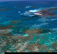 Quicksilver Outer Great Barrier Reef Snorkel Cruise from Port Douglas - Accommodation NT