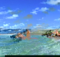 Horse Swimming Ride from Rainbow Beach - Accommodation NT