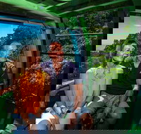 Skyrail Rainforest Cableway Day Trip from Palm Cove - Accommodation NT