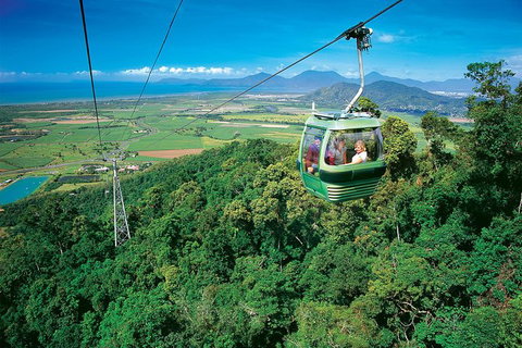 Skyrail Rainforest Cableway Day Trip From Palm Cove - Accommodation NT 3
