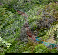 Kuranda Scenic Railway Day Trip from Port Douglas - Accommodation NT