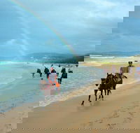 Rainbow Beach Horse Ride - Accommodation NT