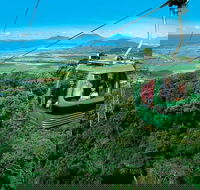 Small-Group Kuranda Village Skyrail Cableway and Scenic Railway Day Trip from Port Douglas - Accommodation NT
