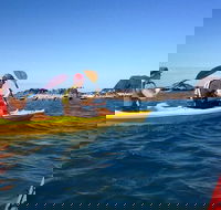 Port Douglas Half-Day Kayak Tour - Accommodation NT