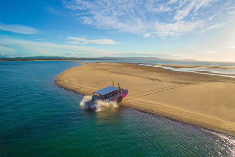 Town Of 1770 Afternoon Cruise - Accommodation NT 8