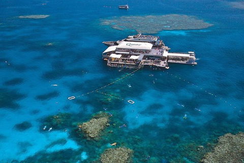 Quicksilver Outer Great Barrier Reef Snorkel Cruise From Palm Cove - Accommodation NT 7
