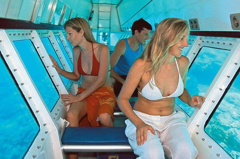Quicksilver Outer Great Barrier Reef Snorkel Cruise From Palm Cove - Accommodation NT 8