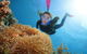 Quicksilver Outer Great Barrier Reef Snorkel Cruise From Palm Cove - thumb 12