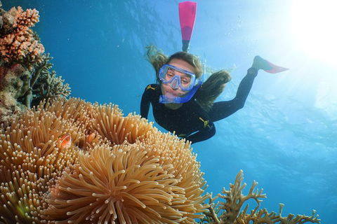 Quicksilver Outer Great Barrier Reef Snorkel Cruise From Palm Cove - Accommodation NT 12