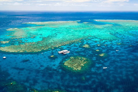 Quicksilver Outer Great Barrier Reef Snorkel Cruise From Palm Cove - Accommodation NT 9