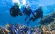 Quicksilver Outer Great Barrier Reef Snorkel Cruise From Palm Cove - thumb 11
