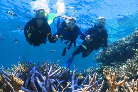 Quicksilver Outer Great Barrier Reef Snorkel Cruise From Palm Cove - Accommodation NT 11