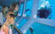 Quicksilver Outer Great Barrier Reef Snorkel Cruise From Palm Cove - thumb 10