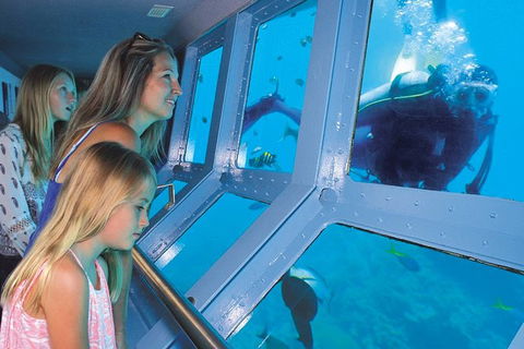 Quicksilver Outer Great Barrier Reef Snorkel Cruise From Palm Cove - Accommodation NT 10