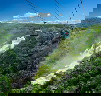 Skyrail Rainforest Cableway Day Trip from Port Douglas - Accommodation NT
