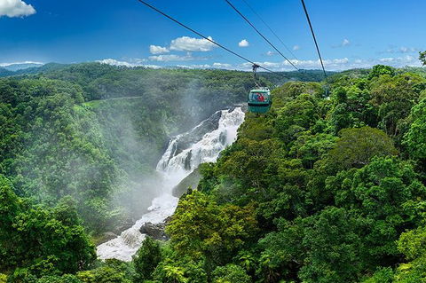 Skyrail Rainforest Cableway Day Trip From Port Douglas - Accommodation NT 2