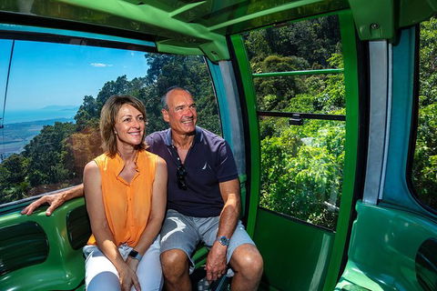 Skyrail Rainforest Cableway Day Trip From Port Douglas - Accommodation NT 7
