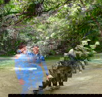 Mossman River Drift Snorkelling from Port Douglas or Mossman - Accommodation NT