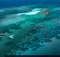 Outer Barrier Reef Sailing and Snorkeling Adventure from Port Douglas - Accommodation NT