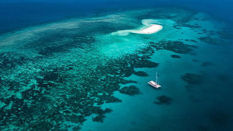 Outer Barrier Reef Sailing And Snorkeling Adventure From Port Douglas - Accommodation NT 0