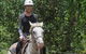 Blazing Saddles Horse Riding - thumb 9
