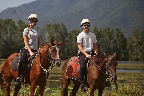 Blazing Saddles Horse Riding - Accommodation NT 6
