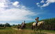 Blazing Saddles Horse Riding - thumb 4