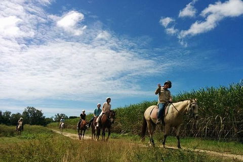 Blazing Saddles Horse Riding - Accommodation NT 4