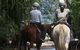 Blazing Saddles Horse Riding - thumb 2