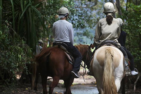 Blazing Saddles Horse Riding - Accommodation NT 2