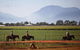 Blazing Saddles Horse Riding - thumb 7