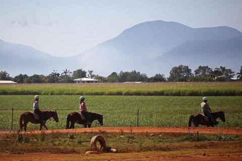 Blazing Saddles Horse Riding - Accommodation NT 7