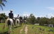 Blazing Saddles Horse Riding - thumb 3