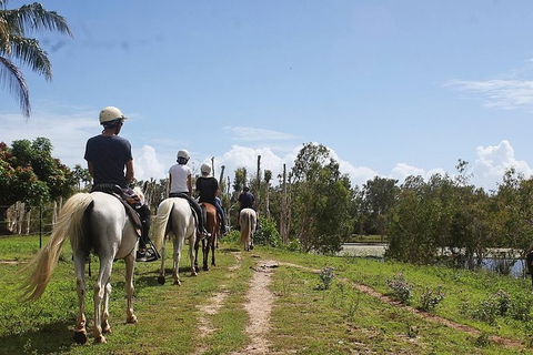 Blazing Saddles Horse Riding - Accommodation NT 3