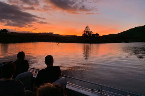 Daintree River Dawn Cruise - Accommodation NT 8