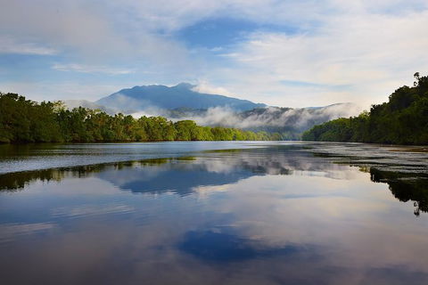 Daintree River Dawn Cruise - Accommodation NT 5