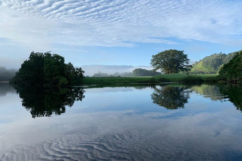 Daintree River Dawn Cruise - Accommodation NT 3