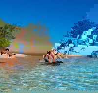 Half Day Low Isles Snorkelling Tour from Port Douglas - Accommodation NT