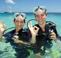 Ocean Spirit Michaelmas Cay Dive and Snorkel Cruise from Palm Cove - Accommodation NT