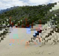 Private Daintree Wanderer Tour - Accommodation NT